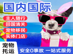连云港机场邮寄国际宠物托运 【国